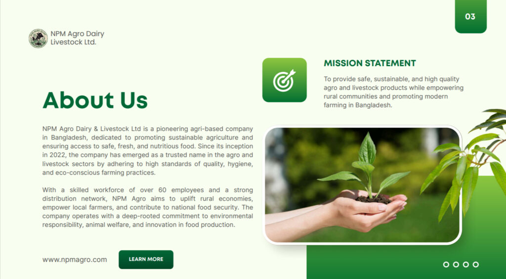 Avista Digital Best SEO Agency in Bangladesh