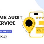 Google My Business Profile Audit Service